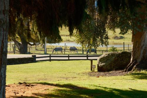 Wanaka Cabin | Nordic Villages at Sundale Holiday Park