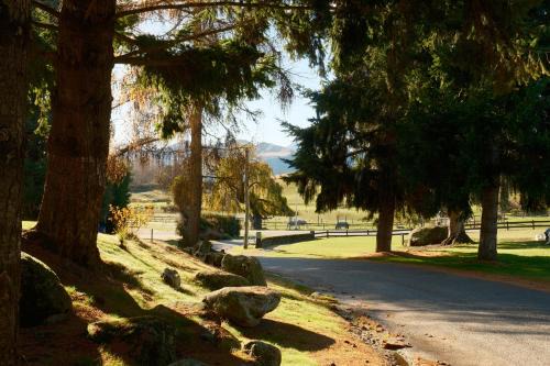 Wanaka Hotel | Sundale Mora Motels