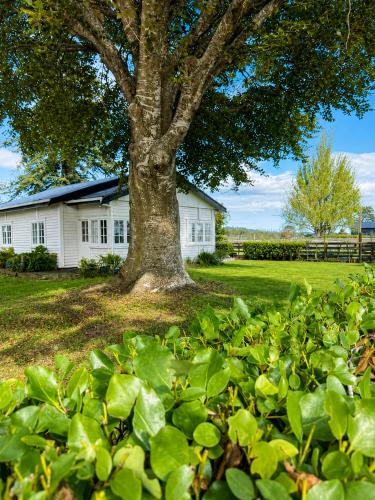Tamahere House | Farm Stay | Near Airport & Mystery Creek