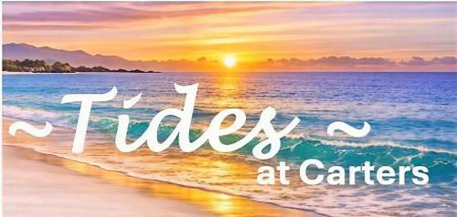 Westport Apartment | TIDES at Carters