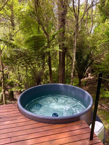 Wainui Ski Chalet | Tui Bush Chalet and Hot tub