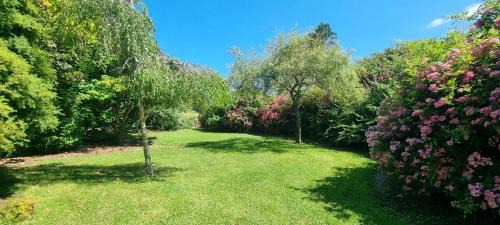 Rotorua House | Hiwi Farm Homestay - Peaceful Farm Retreat near Rotorua