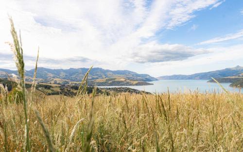 Duvauchelle House | Kūkupa Puni at Akaroa Lavender by Tiny Away