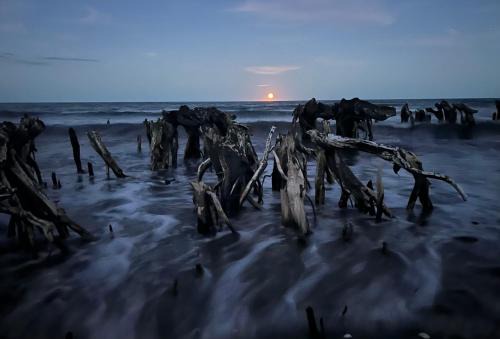 Rangihaeata Bed & Breakfast | Summerspring Beachfront Accommodation