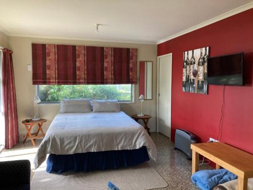 Waihi Beach House | The Back Garden