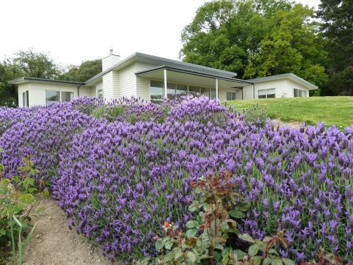 Akaroa Bed & Breakfast | L'abri Bed and Breakfast