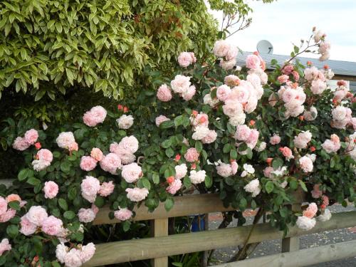 Longlands House | Bluebell Lodge and Cottage