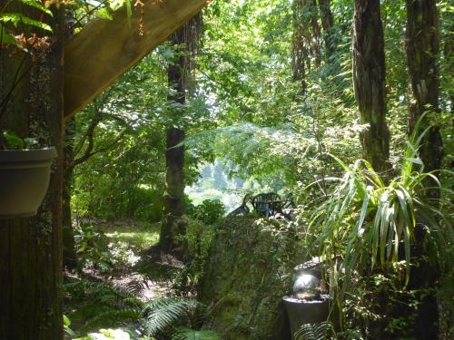 Ohauiti Bed & Breakfast | Mount Tutu Eco-Sanctuary