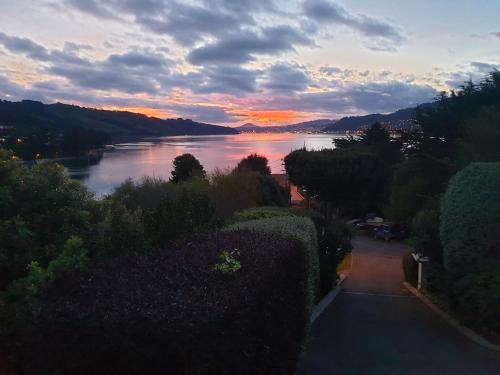 Dunedin House | Tui2 Macandrew Bay