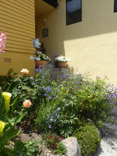 Mapua Bed & Breakfast | Hazelwood Mapua