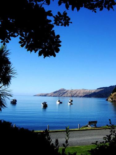 French Pass Villa | French Pass Beachfront Villas