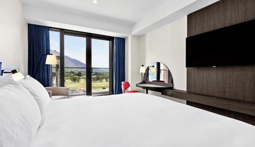 Room, 1 King Bed