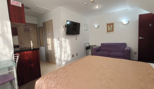 Executive Studio, Non Smoking, Kitchenette (Executive Studio Spec 8)