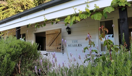 Premium Studio, Vineyard View
