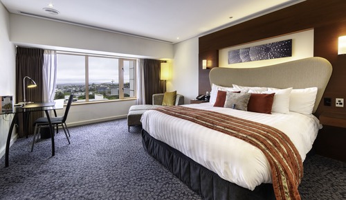 Standard Room, 1 King Bed, Accessible