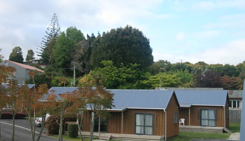 Chalet (1 Queen Bed and 3 Single Beds)