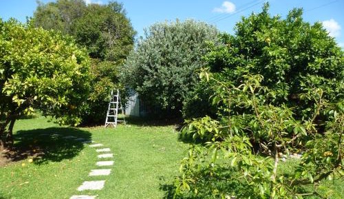 Double Room with Garden View