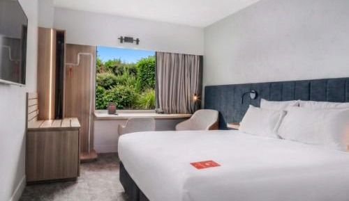 King Room with City View