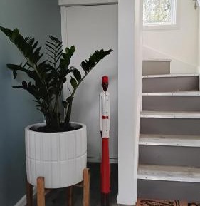 King Room with Garden View