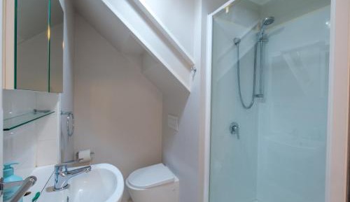 Deluxe One-Bedroom Apartment