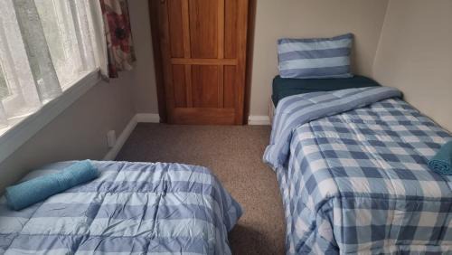 Single Bed in Mixed Dormitory Room