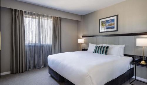 Deluxe Apartment with One King Bed