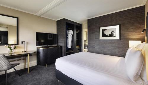 Superior Queen Room
