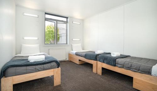 Bed in 3-Bed Mixed Dormitory Room