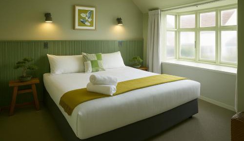 Deluxe One-Bedroom Apartment