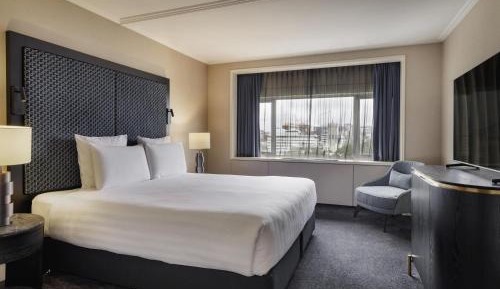 Junior King Suite