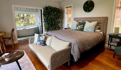 Deluxe King Suite