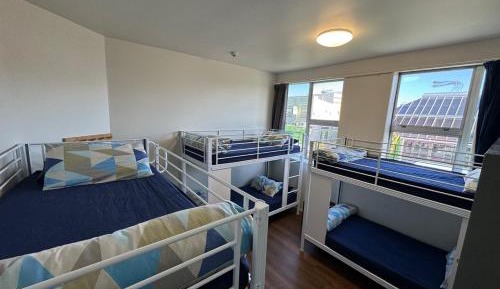 Bed in 4-Bed Mixed Dormitory Room
