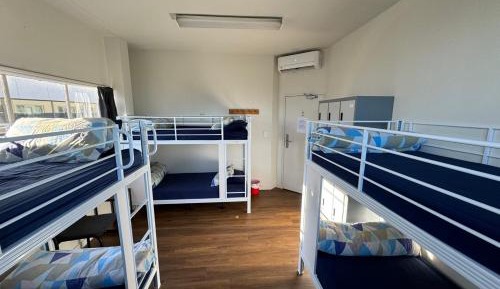 Bed in 6-Bed Dormitory Room