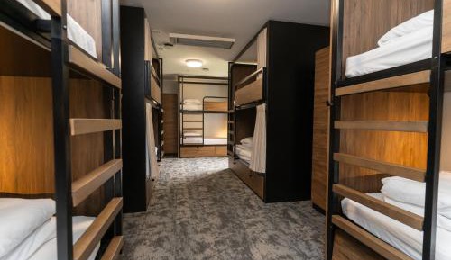 Bed in 10-Bed Mixed Dormitory Room