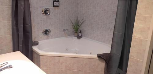 Studio with Spa Bath