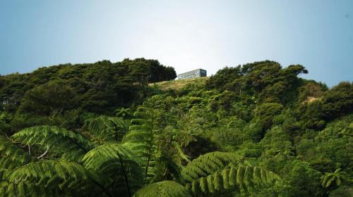 Holiday Home - Tiny Greenie