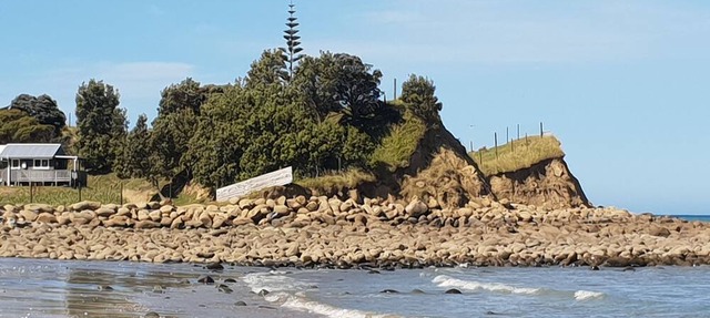 Absolute Beach Front Escape