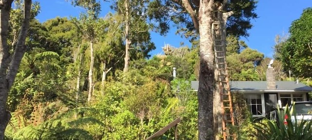 Stunningly Private Piha Retreat