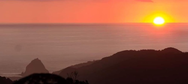 Stunningly Private Piha Retreat