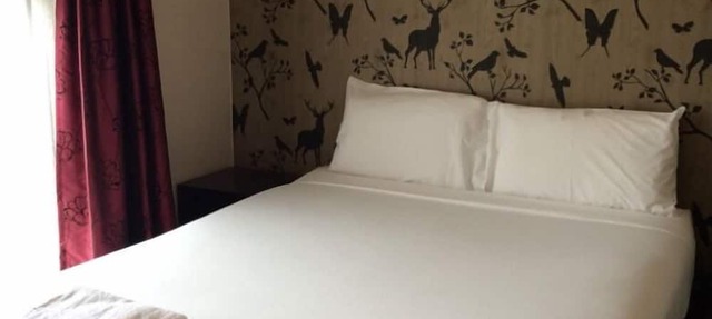 Stag Park Accommodation