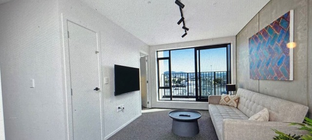Modern sunny apartment close to central wellington