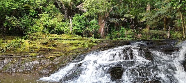 Hot Tub overlooking a waterfall, near beaches, vineyards, Matakana, Brick Bay
