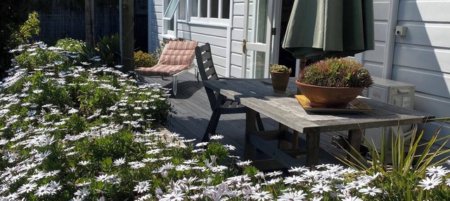 Miramar Bungalow, Wellington Garden Oasis