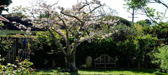 Relax in a quiet Garden Retreat