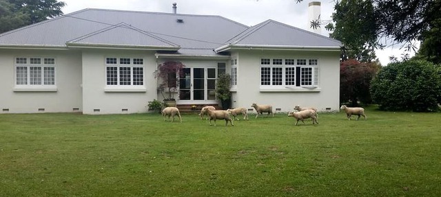 Rustic Farm Accommodation Surrounded by Gorgeous Countryside Views near Lake Karapiro, North Island
