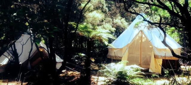 Unique Kaitaia Accommodation for North Island Glamping