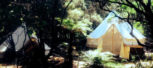 Unique Kaitaia Accommodation for North Island Glamping