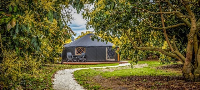 Luxury Camping Yurt with a Hot Tub near the Bay of Plenty, North Island