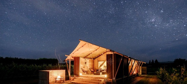 Peaceful Safari Tent on Boutique Vineyard near Hastings, North Island