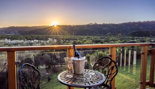 Manuka Bliss Heights - Close to Thermal Hot Pools
